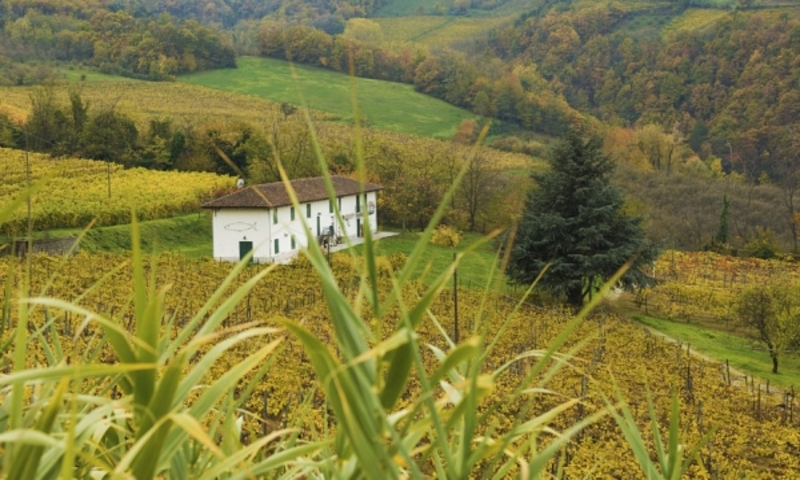 aziende-agricole in vendita Piemonte