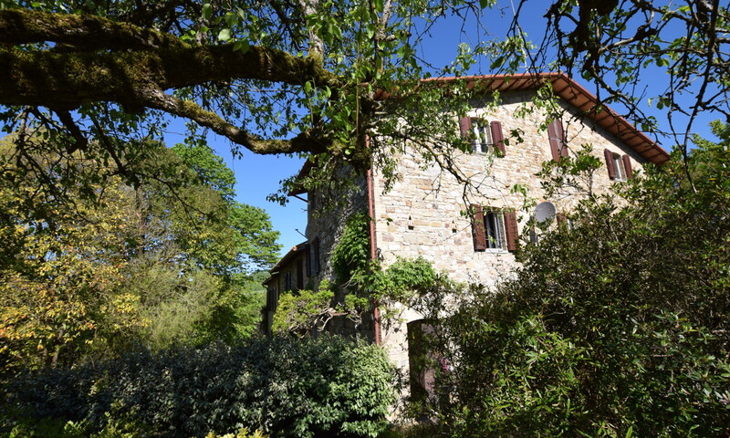 aziende-agricole in vendita Umbria