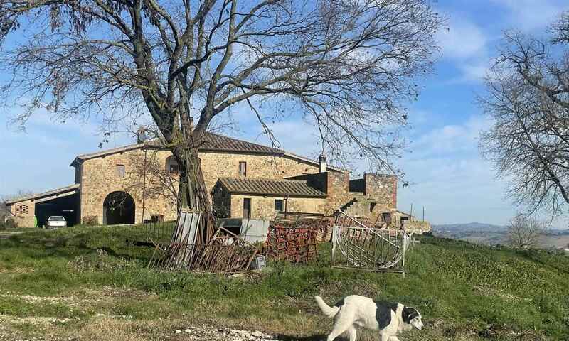 aziende-agricole in vendita Toscana