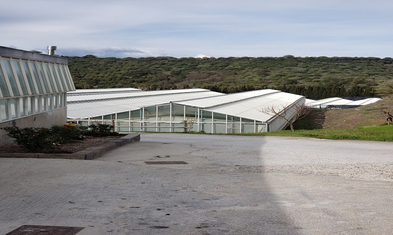  in vendita Sardegna