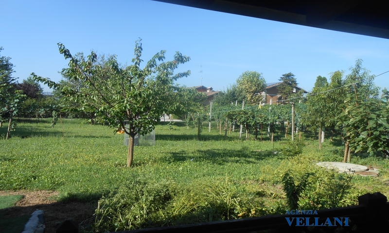 aziende-agricole in vendita Emilia Romagna