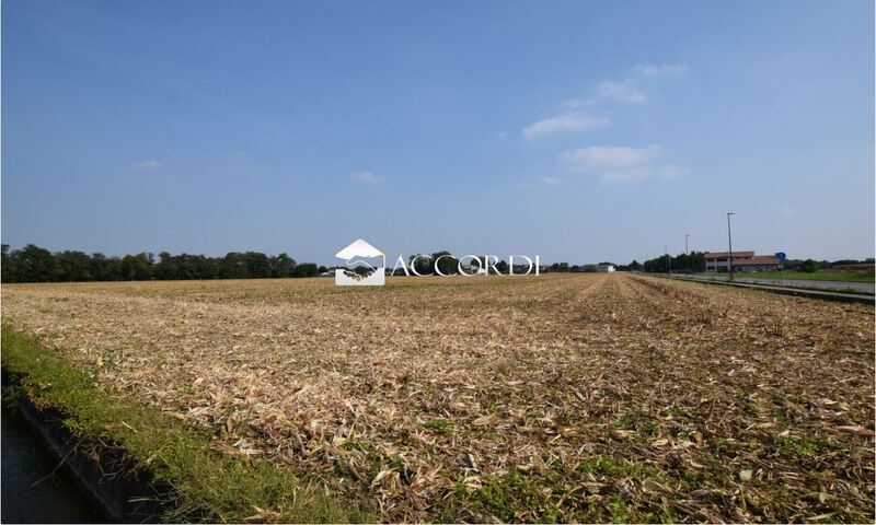 terreni-agricoli in vendita Veneto