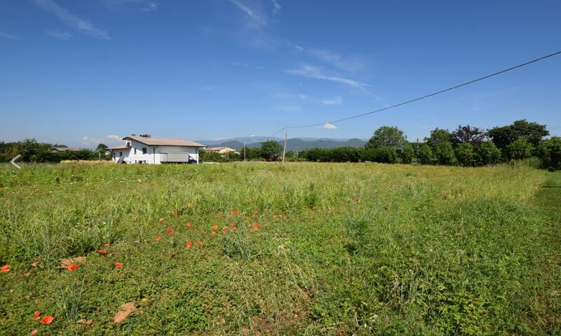 terreni-agricoli in vendita Veneto