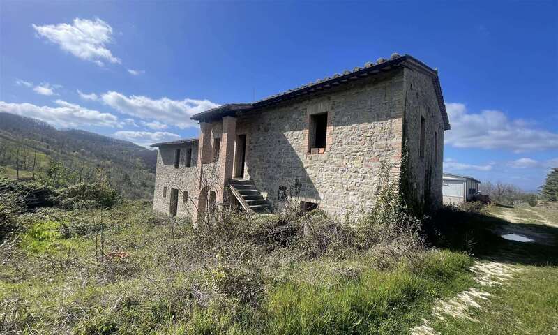 aziende-agricole in vendita Umbria