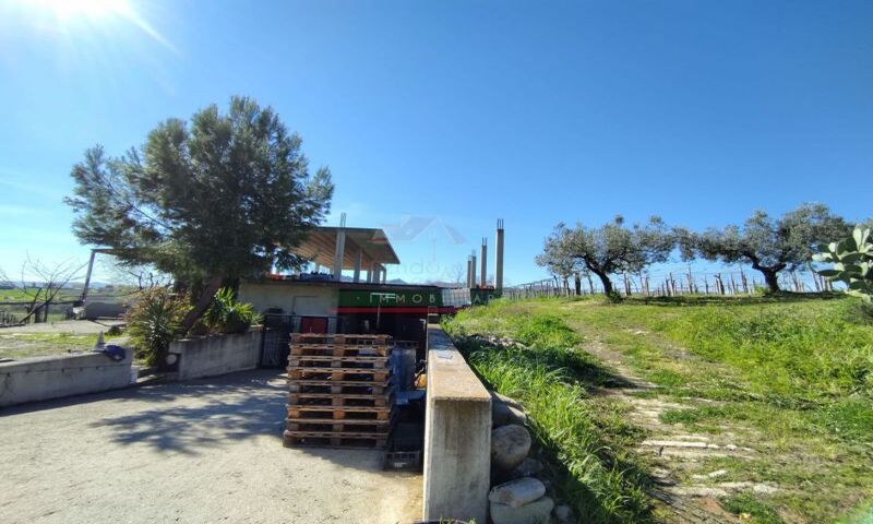  in vendita Abruzzo