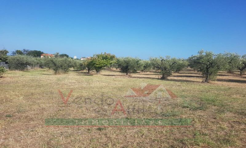  in vendita Abruzzo