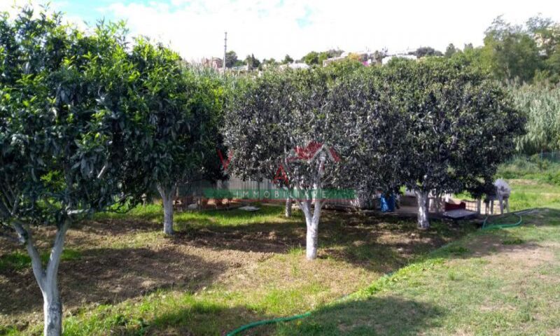  in vendita Abruzzo