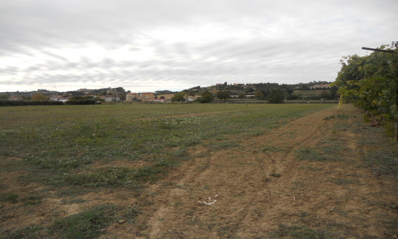 in vendita Marche