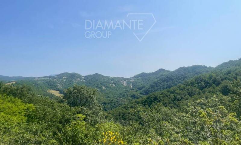 aziende-agricole in vendita Umbria