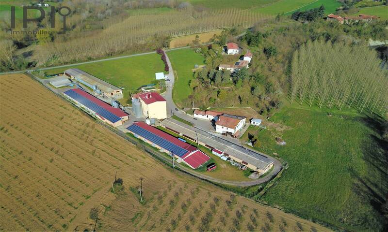 aziende-agricole in vendita Piemonte