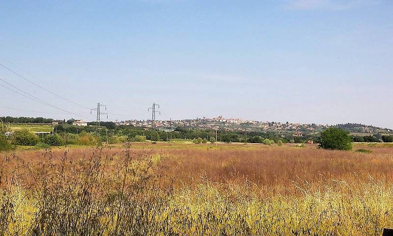 aziende-agricole in vendita Toscana
