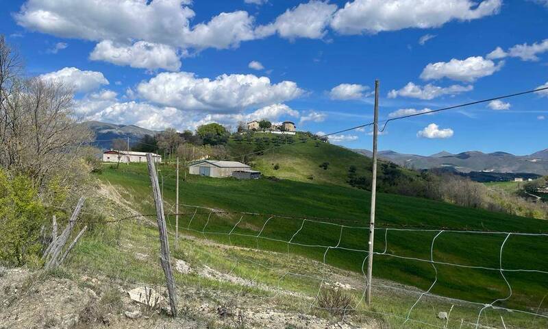 aziende-agricole in vendita Umbria