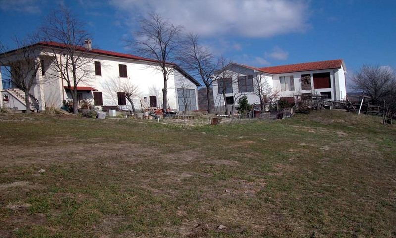 aziende-agricole in vendita Piemonte