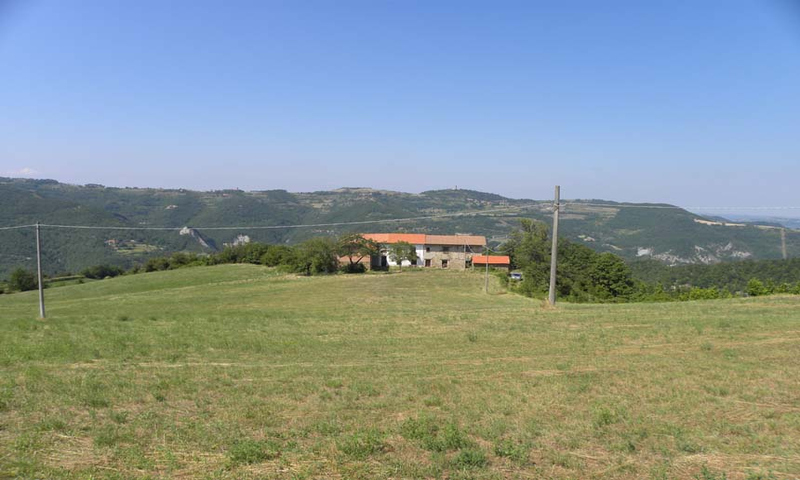 aziende-agricole in vendita Piemonte
