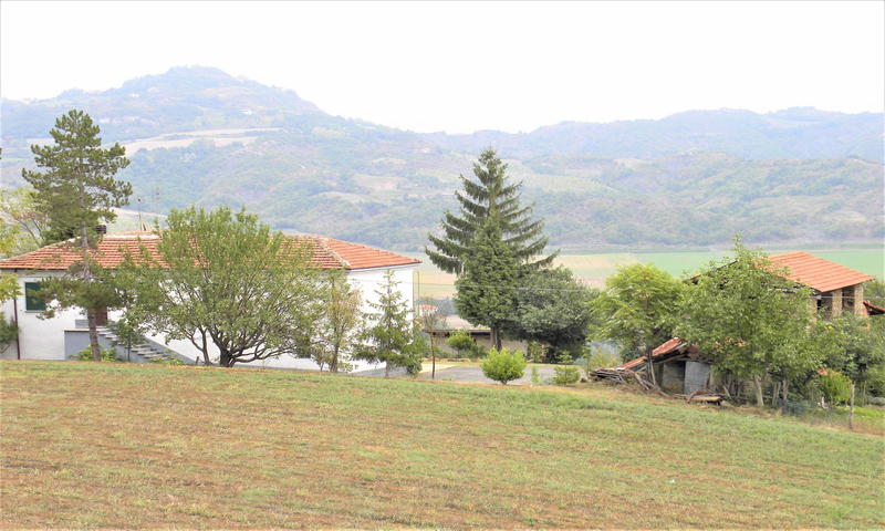 aziende-agricole in vendita Piemonte