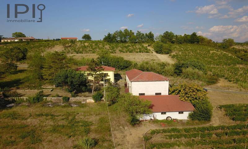 aziende-vinicole in vendita Piemonte